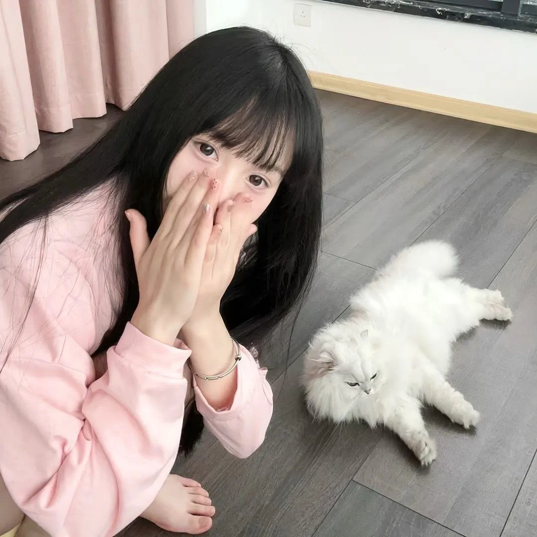 莎拉的钥匙